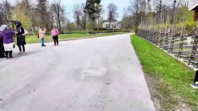 Tecknat Barn Svenska:Högbo Brukshotell & Spa (1858-2024) DVDRIPPEN (Svenska) Trailer (4K)